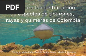Guía para la identificación de tiburones, rayas y quimeras de Colombia