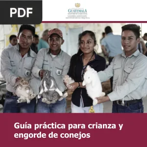 Guía práctica para crianza y engorde de conejos