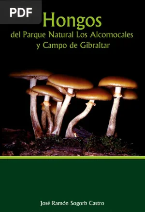Hongos del Parque Natural Los Alcornocales y Campo de Gibraltar