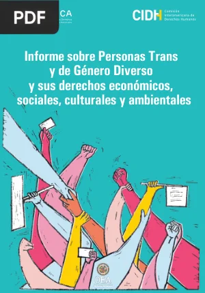 Informe sobre Personas Trans y de Género Diverso