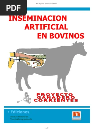 Inseminación artificial en bovinos