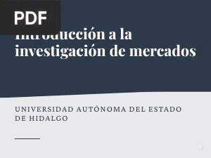 Introducción a la investigación de mercados