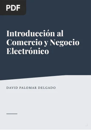 Introducción al Comercio y Negocio Electrónico