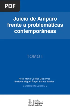 Juicio de amparo frente a problemáticas contemporáneas. Tomo I