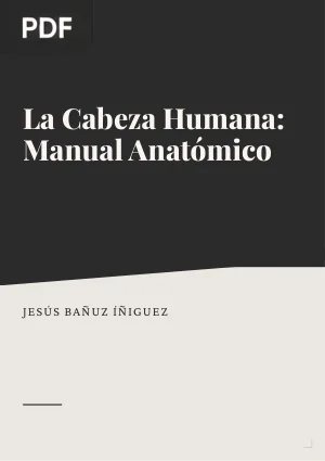 La Cabeza Humana: Manual Anatómico para el Artista Novel
