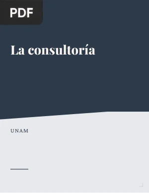 La consultoría