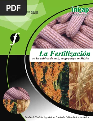 La fertilización en los cultivos de maíz, sorgo y trigo