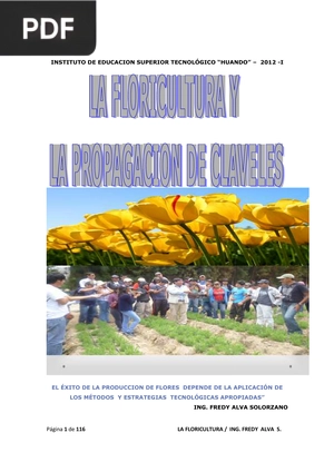 La Floricultura y la Propagacion de Claveles