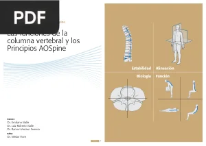 Las funciones de la columna vertebral y los principios AOSpine