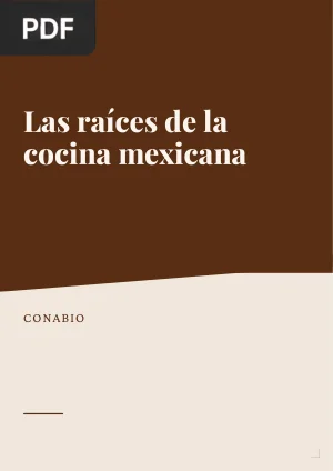 Las raíces de la cocina mexicana