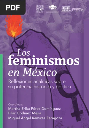 Los feminismos en México: reflexiones analíticas sobre su potencia histórica y política