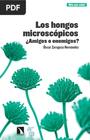 Los hongos microscópicos ¿Amigos o enemigos?
