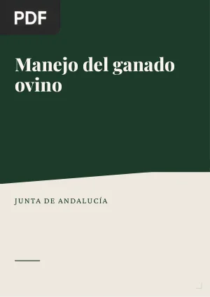Manejo del ganado ovino
