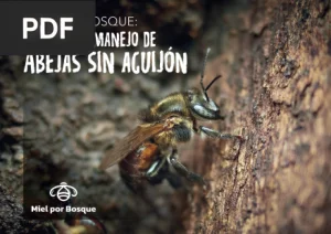 Manual de Abejas sin Aguijón