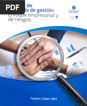 Manual de auditoría de gestión