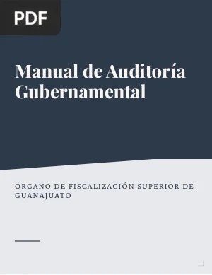 Manual de Auditoría Gubernamental