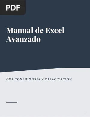 Manual de Excel Avanzado