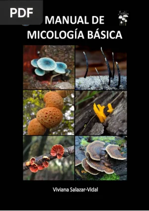 Manual de micología básica