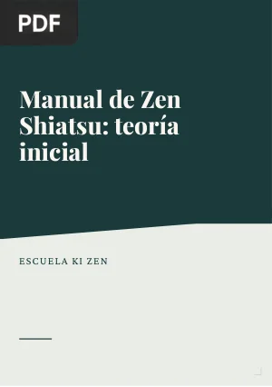 Manual de Zen Shiatsu: teoría inicial
