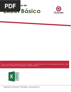 Manual del Curso de Excel Básico