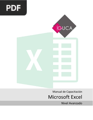 Manual Excel Avanzado