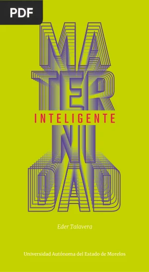 Maternidad Inteligente