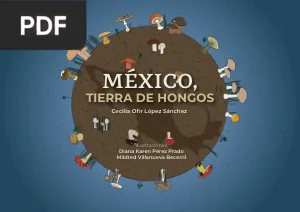 México, tierra de hongos