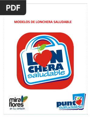 Modelos de lonchera saludable