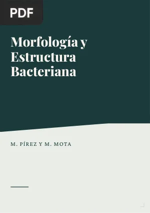 Morfología y Estructura Bacteriana