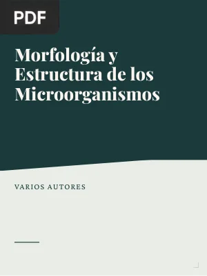 Morfología y Estructura de los Microorganismos