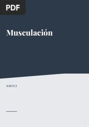 Musculación