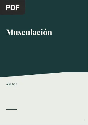 Musculación