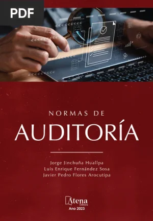 Normas de Auditoría
