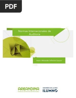 Normas Internacionales de Auditoria