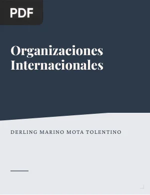 Organizaciones Internacionales