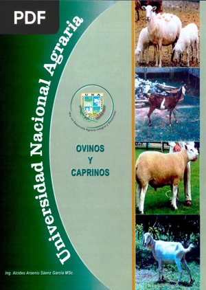 Ovinos y caprinos