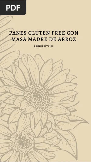 Panes Gluten Free con Masa Madre de Arroz
