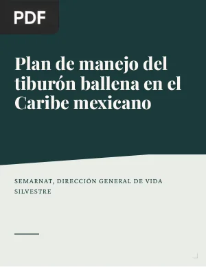 Plan de manejo del tiburón ballena en el Caribe mexicano