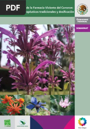 Plantas medicinales de la Farmacia Viviente: usos terapéuticos y dosificación