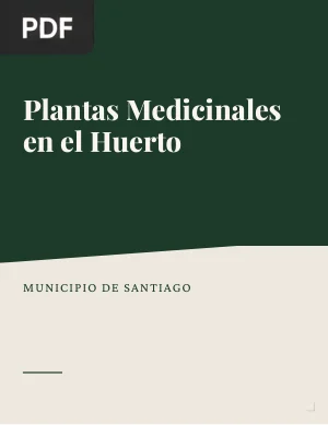 Plantas medicinales en el huerto