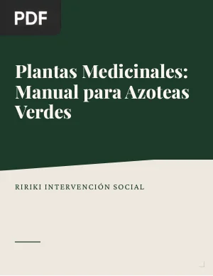 Plantas Medicinales: Manual para Azoteas Verdes