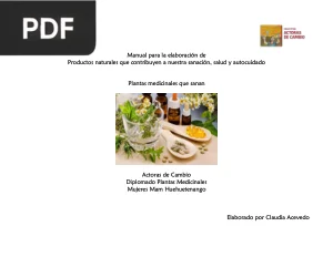 Plantas medicinales que sanan. Manual para elaborar productos naturales