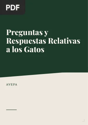 Preguntas y Respuestas relativas a los gatos