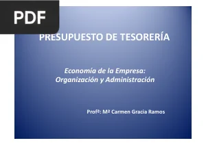 Presupuesto de Tesorería