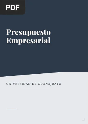 Presupuesto empresarial (Artículo)
