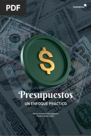 Presupuestos: un enfoque práctico