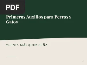 Primeros Auxilios para Perros y Gatos
