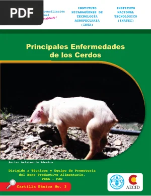 Principales Enfermedades de los Cerdos