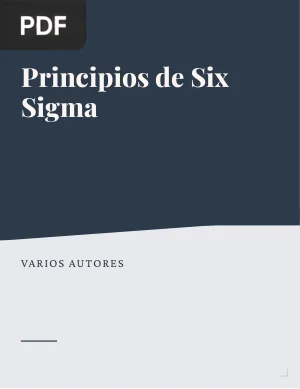 Principios de Six Sigma