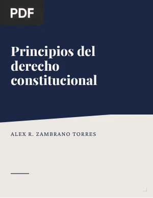 Principios del derecho constitucional
